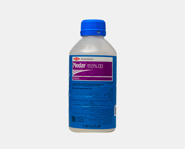 Pindar 13.6% OD
